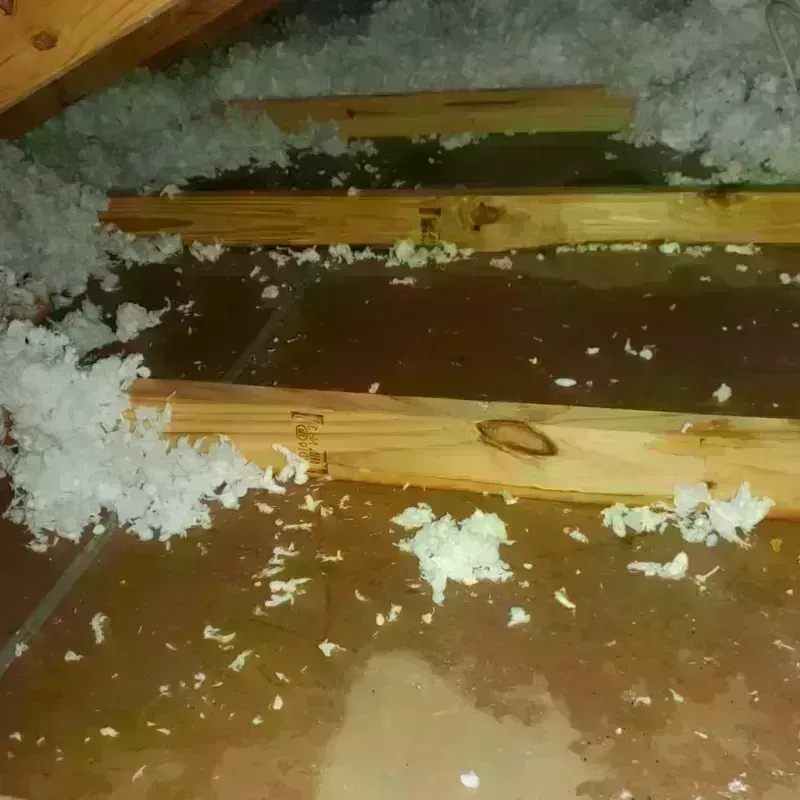 Attic Water Damage in Andover, KS