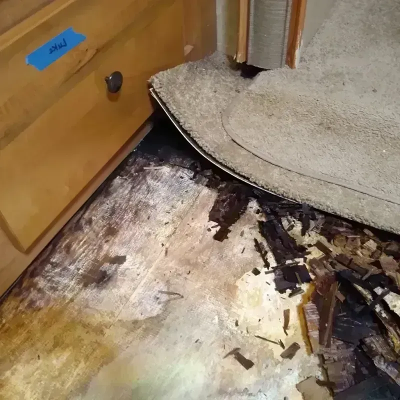 Wood Floor Water Damage in Andover, KS